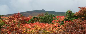 五葉松平から見た安達太良山